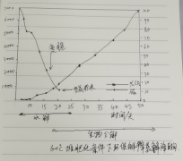 環(huán)保降解袋的分解原理-降解袋是怎么降解的？